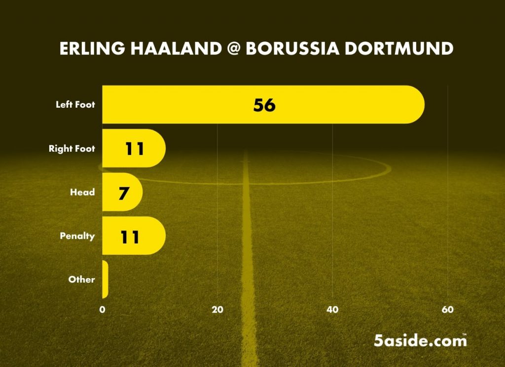 Erling Haaland Dortmund Infographic